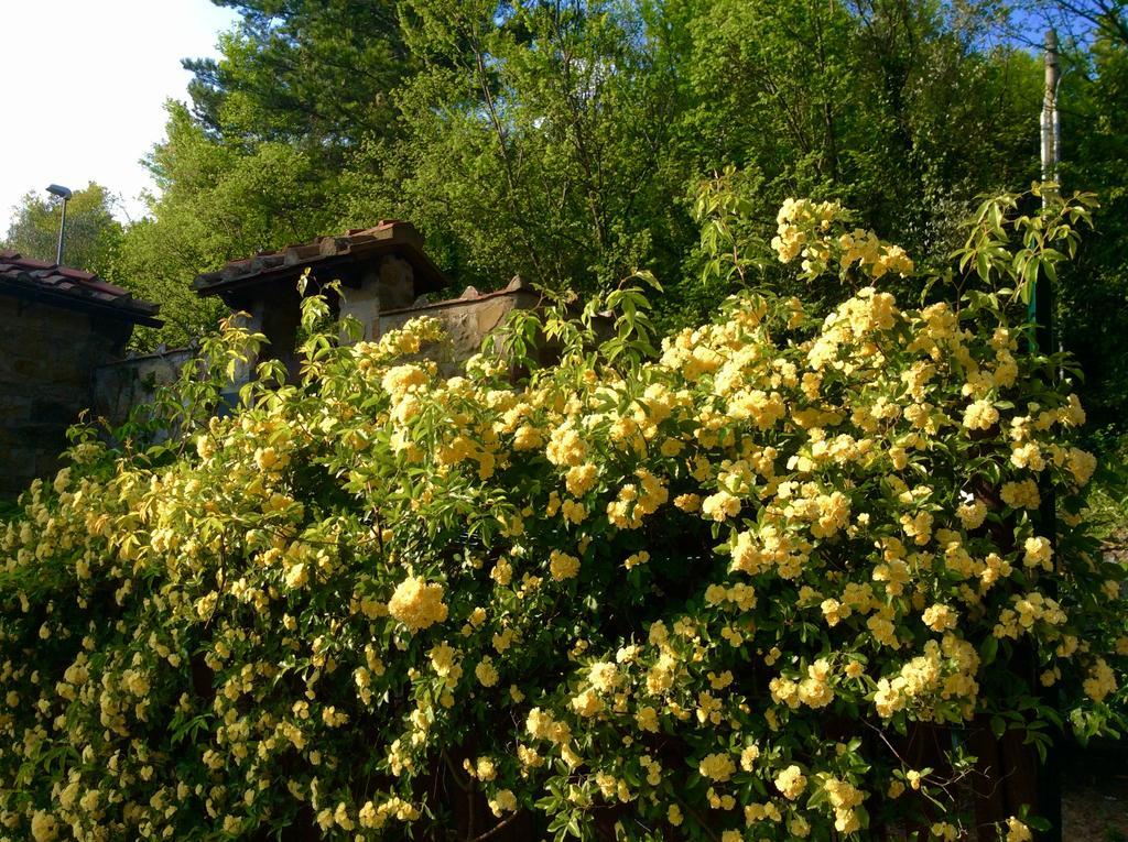 Bed Breakfast La Paggeria Trespiano Eksteriør bilde